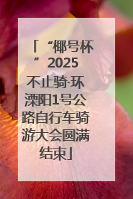 “椰号杯”2025不止骑·环溧阳1号公路自行车骑游大会圆满结束