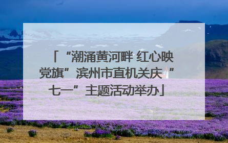 “潮涌黄河畔 红心映党旗”滨州市直机关庆“七一”主题活动举办