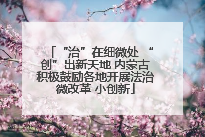 “治”在细微处 “创”出新天地 内蒙古积极鼓励各地开展法治微改革 小创新