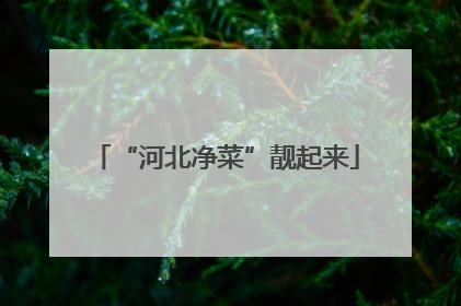 “河北净菜”靓起来