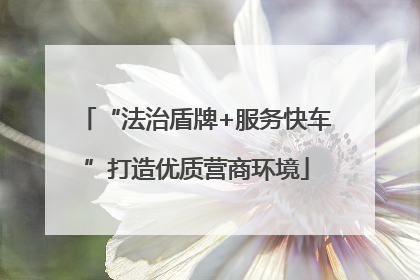 “法治盾牌+服务快车”打造优质营商环境