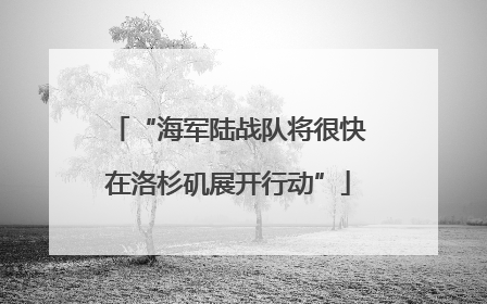 “海军陆战队将很快在洛杉矶展开行动”
