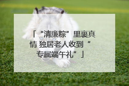 “清廉粽”里裹真情 独居老人收到“专属端午礼”