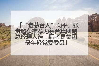“老茅台人”向平、张贵超获推荐为茅台集团副总经理人选，后者是集团最年轻党委委员