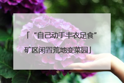 “自己动手丰衣足食”矿区闲置荒地变菜园