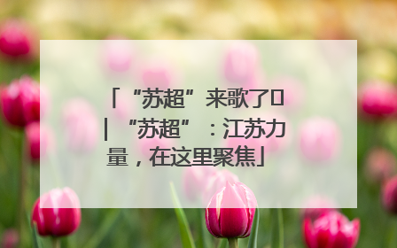 “苏超”来歌了⑪｜“苏超”：江苏力量，在这里聚焦