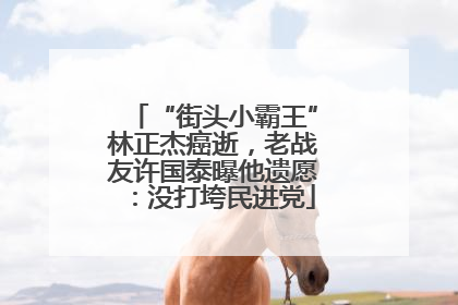 “街头小霸王”林正杰癌逝，老战友许国泰曝他遗愿：没打垮民进党