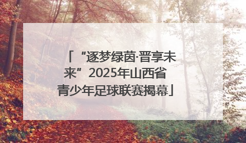 “逐梦绿茵·晋享未来”2025年山西省青少年足球联赛揭幕