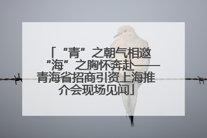 “青”之朝气相邀 “海”之胸怀奔赴——青海省招商引资上海推介会现场见闻