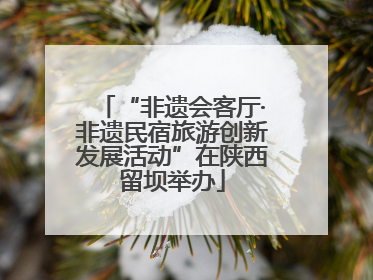 “非遗会客厅·非遗民宿旅游创新发展活动”在陕西留坝举办