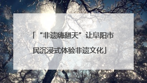 “非遗嗨翻天”让阜阳市民沉浸式体验非遗文化