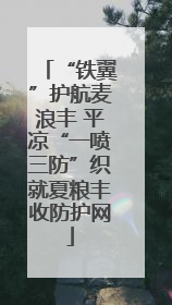 “铁翼”护航麦浪丰 平凉“一喷三防”织就夏粮丰收防护网