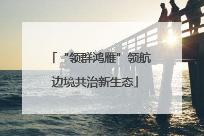 “领群鸿雁”领航边境共治新生态