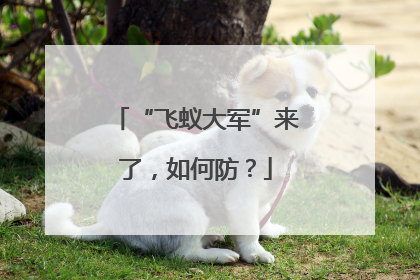 “飞蚁大军”来了，如何防？