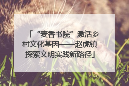 “麦香书院”激活乡村文化基因——赵虎镇探索文明实践新路径
