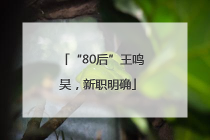 “80后”王鸣昊，新职明确