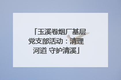 玉溪卷烟厂基层党支部活动：清理河道 守护清溪