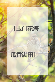 玉门花海瓜香满田