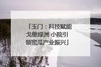 玉门：科技赋能戈壁绿洲 小院引领蜜瓜产业振兴