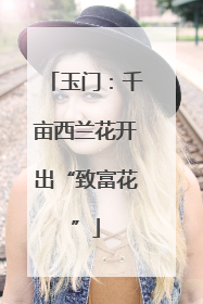 玉门：千亩西兰花开出“致富花”