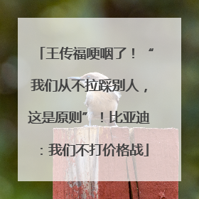王传福哽咽了！“我们从不拉踩别人，这是原则”！比亚迪：我们不打价格战