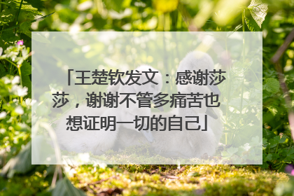 王楚钦发文：感谢莎莎，谢谢不管多痛苦也想证明一切的自己