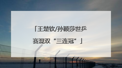 王楚钦/孙颖莎世乒赛混双“三连冠”