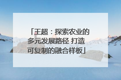 王超：探索农业的多元发展路径 打造可复制的融合样板