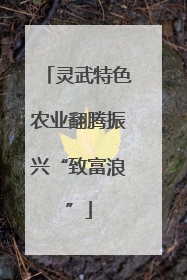 灵武特色农业翻腾振兴“致富浪”