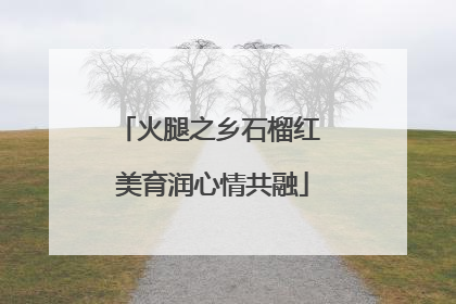 火腿之乡石榴红 美育润心情共融