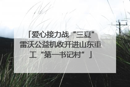 爱心接力战“三夏” 雷沃公益机收开进山东重工“第一书记村”