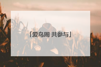 爱鸟周 共参与