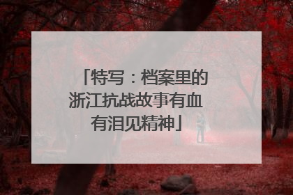 特写：档案里的浙江抗战故事有血有泪见精神