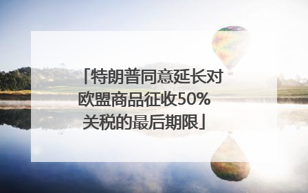 特朗普同意延长对欧盟商品征收50%关税的最后期限
