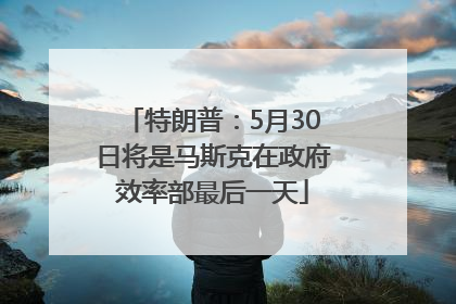 特朗普：5月30日将是马斯克在政府效率部最后一天