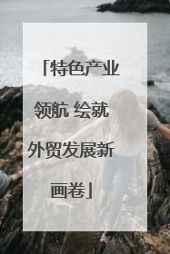 特色产业领航 绘就外贸发展新画卷