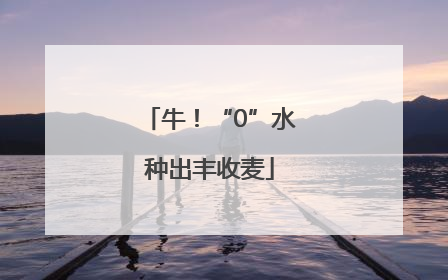 牛！“0”水种出丰收麦