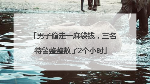 男子偷走一麻袋钱，三名特警整整数了2个小时