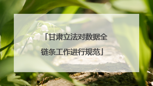 甘肃立法对数据全链条工作进行规范