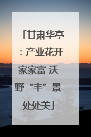 甘肃华亭：产业花开家家富 沃野“丰”景处处美