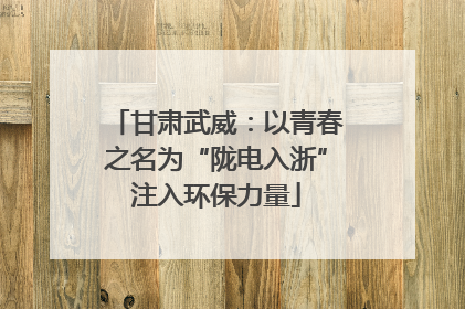 甘肃武威：以青春之名为“陇电入浙”注入环保力量