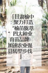 甘肃榆中：聚力打造“榆苗陇萃”四大种业育苗品牌 加速农业强县转型步伐