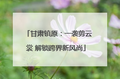 甘肃镇原：一袭剪云裳 解锁跨界新风尚