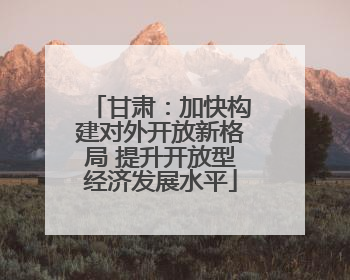 甘肃：加快构建对外开放新格局 提升开放型经济发展水平