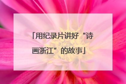 用纪录片讲好“诗画浙江”的故事
