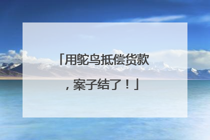 用鸵鸟抵偿货款，案子结了！