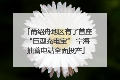 甬绍舟地区有了首座“巨型充电宝” 宁海抽蓄电站全面投产