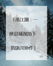 甬江潮：一座县域视角下的浙川协作
