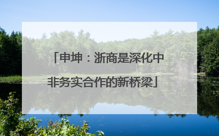 申坤：浙商是深化中非务实合作的新桥梁