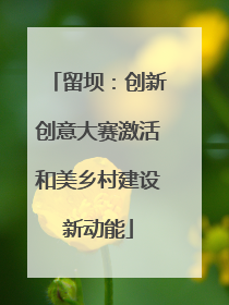 留坝：创新创意大赛激活和美乡村建设新动能